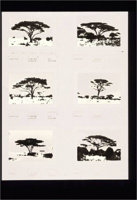 A version of the Tree Aesthetic Test used by Gordon and his fellow researchers.