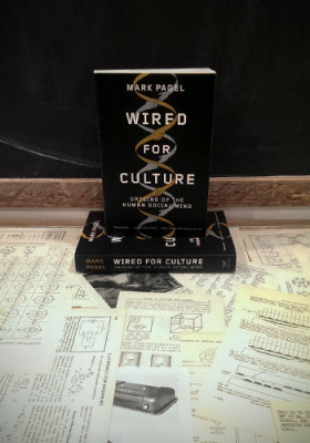Wired for Culture by Mark Pagel